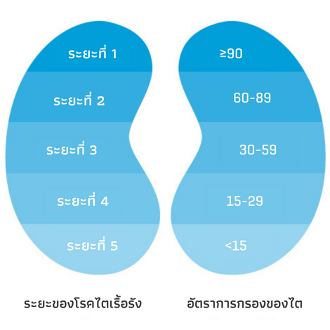 CKD_Stages_Thai